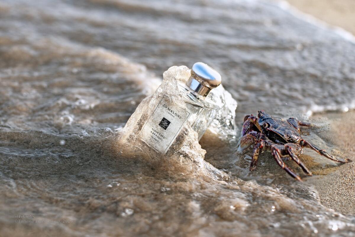 Eau de Cologne Jo Malone Wood  - Luxury Lifestyle Travel avis et prix